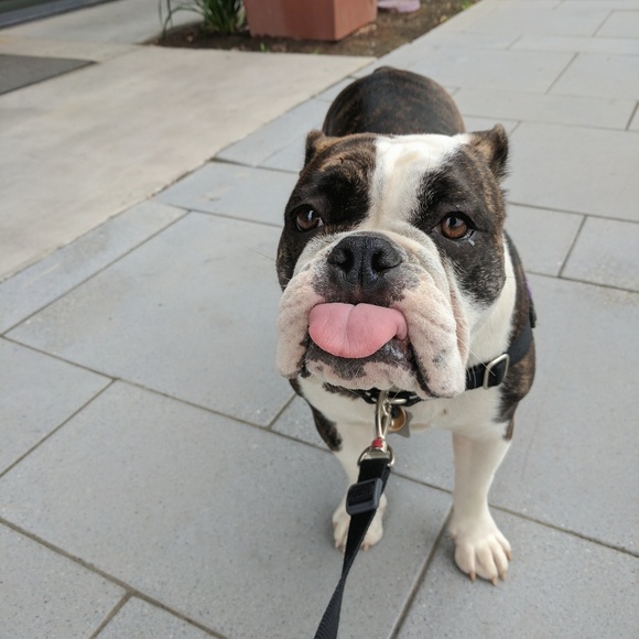 Meet your Posher, Ellen - Picture 2 of 2